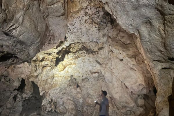 Finca La Trinidad – Rural Experience & Ecotourism
