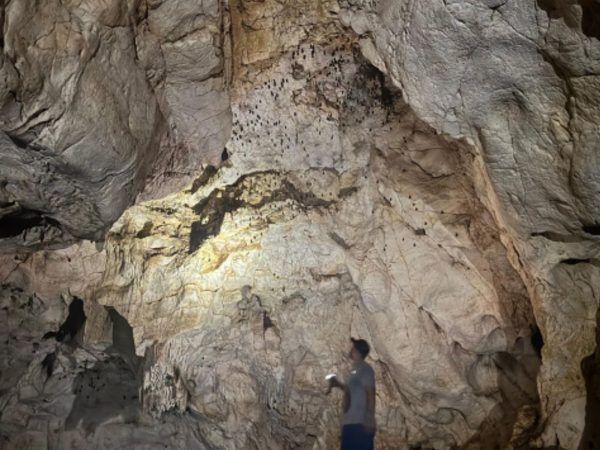 Finca La Trinidad – Rural Experience & Ecotourism