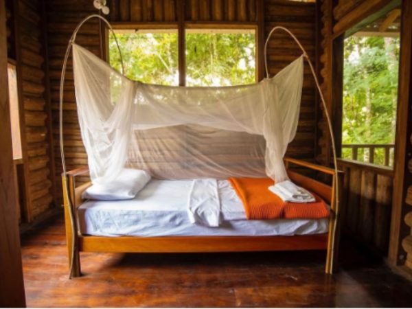 Puerto Arturo – Birdwatching & Wildlife Refuge Expedition