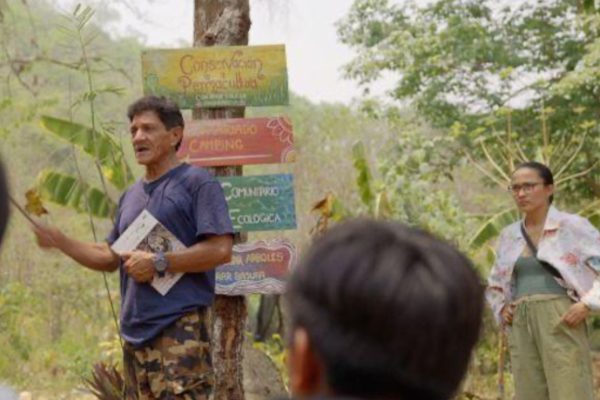 Permaculture, Maya Medicine & Natural Building Tour