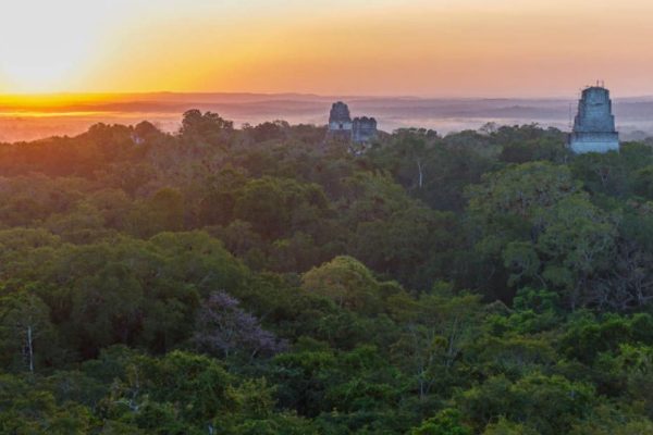 Tikal – Sunrise Tour
