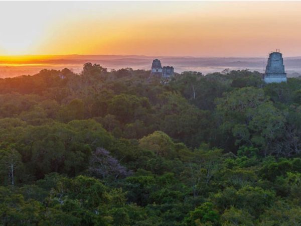 Private Tikal Sunrise Experience
