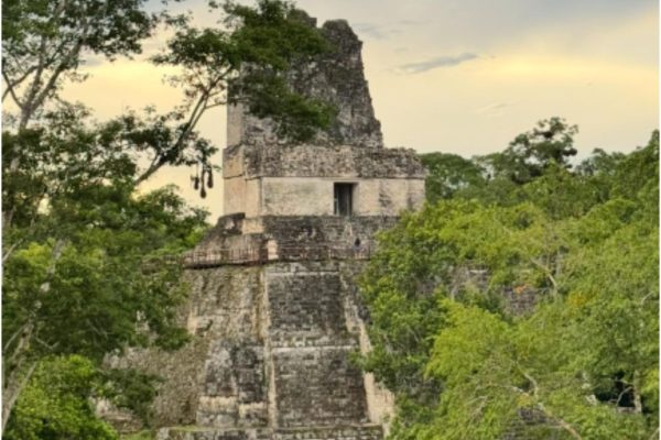 Tikal – Early Bird Day Tour