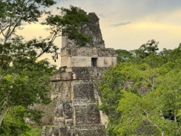 Private Tikal Classic Archaeological Tour