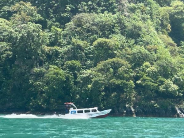 Full-Lake Explorer Luxury Charter (Guided)