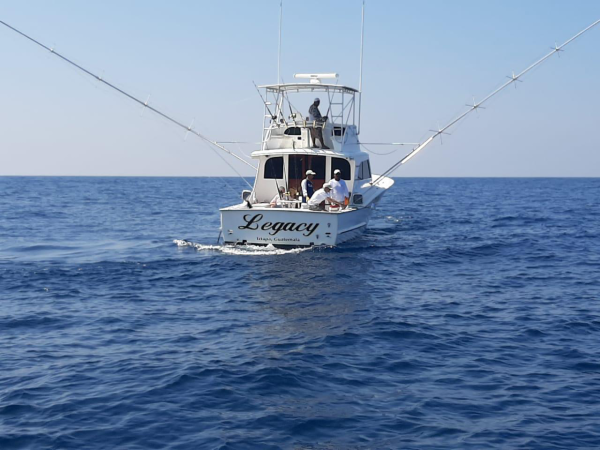 Create unforgettable memories at sea — book your Cañaso ocean adventure today!