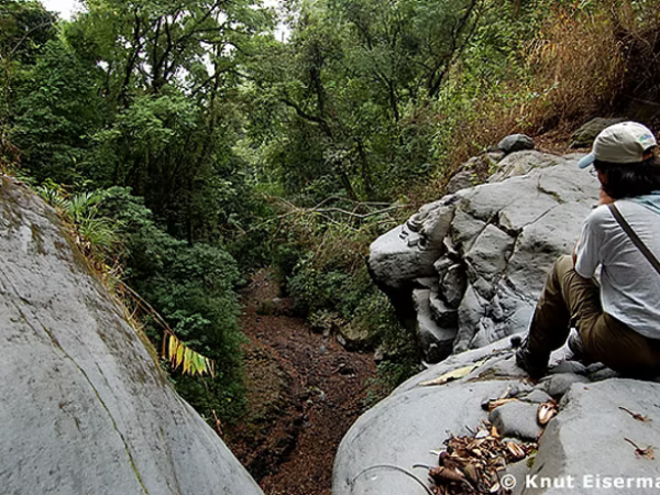 Day Pass – Explore Los Tarrales at Your Own Pace