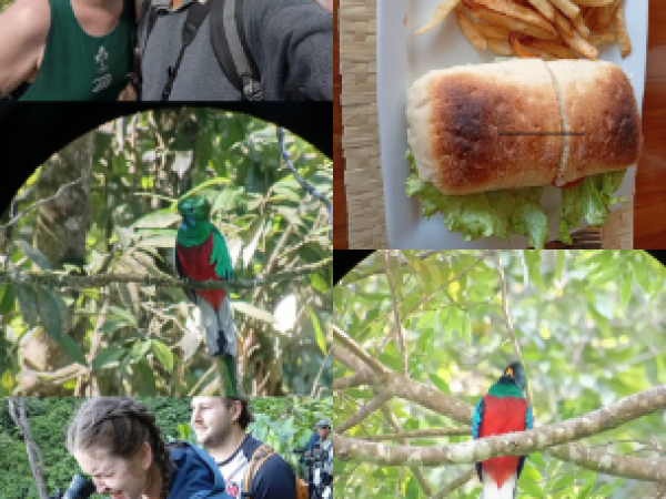 Quetzal Birdwatching Tour