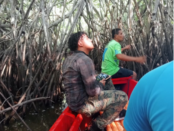 Hawaii to Monterrico River Tour