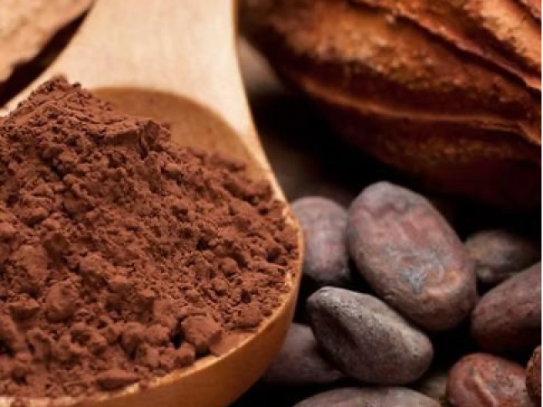 Textiles, Honey & Chocolate Tour – Lake Atitlán